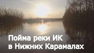 РЕКА ИК РАЗЛИВАЕТСЯ ВСЁ СИЛЬНЕЕ ,  НИЖНИЕ КАРАМАЛЫ ПОЙМА НАПОЛОВИНУ ЗАЛИТА ВОДОЙ , КРАСОТА !