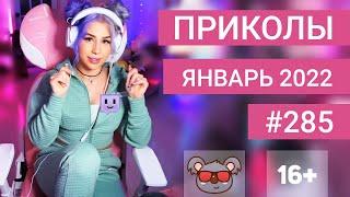  ЛУЧШИЕ ПРИКОЛЫ ЯНВАРЬ 2022 | Я РЖАЛ ДО СЛЕЗ | Выпуск №285