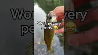 Bass fishing is expensive! #shorts #fishing #bassfishing #fishingshorts