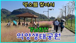 경남함안 [악양생태공원]