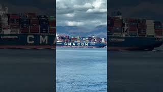 CMA CGM Tenere, a container vessel with the length of 366 m and beam of 51 m.  #followformore