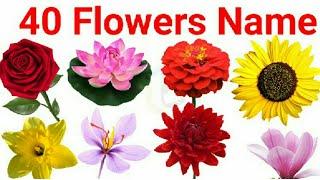 flowers name, 40 flowers name, flowers name with spelling