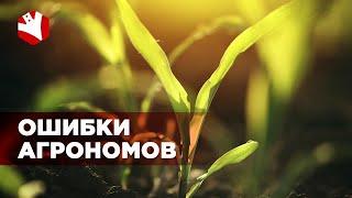 Ошибки агрономов | Как получить высокий урожай?