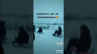 маршрутка для не вакценированых