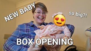 AMAZING reborn by a PROTOTYPE ARTIST box opening!