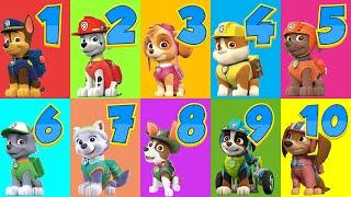 PAW Patrol: Learn numbers | Video for kids