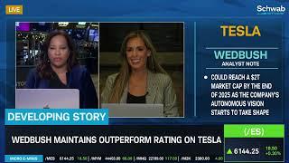 Dan Ives TSLA Price Target Hike & Macy's (M) Upgrade