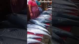 Fish in Goan Market