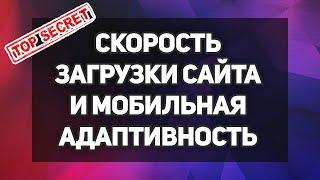 Проверка скорости загрузки и мобильной адаптивности - SEO продвижение лендинга в Яндексе