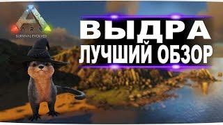 Выдра (Otter) в АРК. Лучший обзор: приручение, разведение и способности  выдры в ark