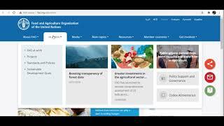 FAO- The Food and Agriculture Organization