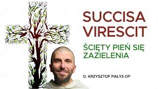 Succisa Virescit | o. Krzysztof Pałys OP