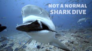 THE FAMOUS FIJI SHARK DIVE (MADNESS at beqa lagoon)