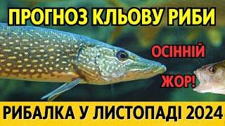 ОСІННІЙ КЛЬОВ - рибалка за місячним календарем! Місячний календар риболовлі на листопад 2024