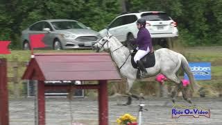 300S Eliza Ludvigsen on Highland Traveller JR Beginner Novice Show Jumping Aspen Farms June 2021