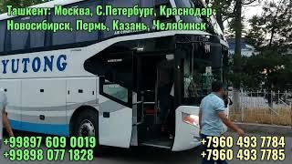 Ташкент Новосибирск автобус | Ташкент Краснодар автобус