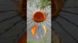 Survival Skills: Simple but Useful with Papaya  Fish trap #bushcraft #camping #survival #outdoors