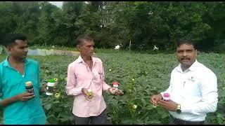 Jay Parivartan india powerful result mo.8141181321