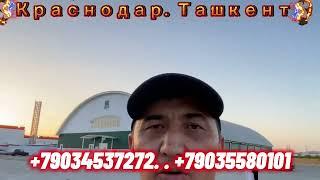 Краснодар. Ташкент автобус#Краснодар хоразм автобус Краснодар Торткол автобус Краснодар кырым￼￼