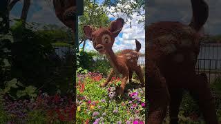 My Favorite Topiaries at Epcot International Flower & Garden Festival #disney