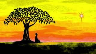 Shamanic Beats