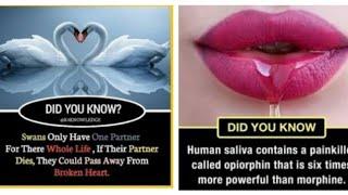 Did you know | amazing facts you should know !
