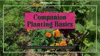 189 Companion Planting Basics | Growing Joy with Plants | Podcast