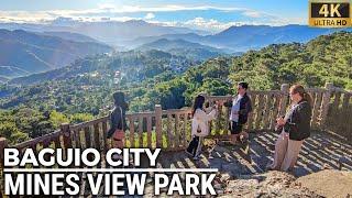 MINES VIEW PARK at BAGUIO CITY Morning Walk [4K] Philippines - November 2022