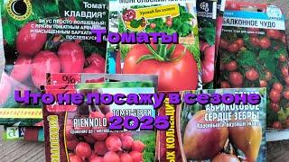 Томаты  Часть 1.Итоги прошлого сезона.Какие томаты не посажу в сезоне 2025?