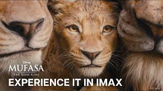 Mufasa: The Lion King | Experience It In IMAX