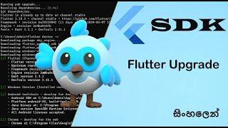 Flutter SDK Upgrade Guide