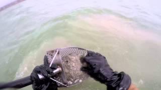 Underwater Metal Detecting. Gold Rings and Silver.