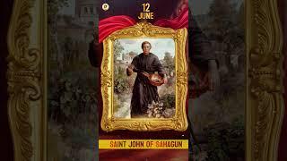 Miraculous Prayer to St. John of Sahagun | Saint of the Day | June 12