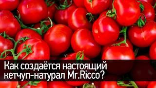 Кетчуп Mr.Ricco: как создается «кетчуп-натурал»