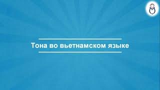 [Việt Nga] Урок 2: Тона во вьетнамском языке | Вьетнамский Язык Плюс