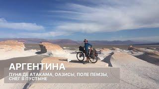 Аргентинская пуна де Атакама. Оазисы в пустыне | Велопутешествие по Южной Америке №6