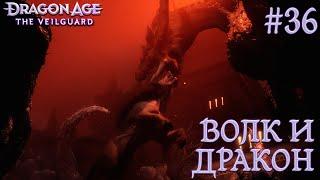 ПРОХОЖДЕНИЕ DRAGON AGE: THE VEILGUARD: Волк и дракон #36