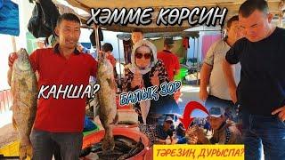 Шымбай базарында нелер болып атыр? Хамме көрсин! 22-сентябр Базар бахалары тамаша етемиз