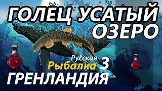 Голец Усатый Озеро / РР3 [Русская Рыбалка 3 Гренландия]