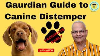 Unveiling Canine Distemper: Protecting Your Best Friend from this Silent Threat