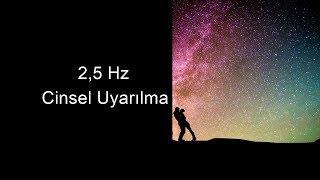 2,5 Hz Delta Dalgaları,Cinsel Uyarılma