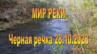 Мир реки Черной на закате октября. 28.10.2023