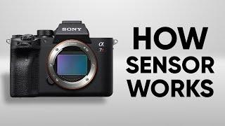 How Camera Sensor Works | Camera Sensor Explained