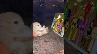 Funny Bunny Watching incredibox Sprunki x RAT DANCE #sprunki #incredibox #animation