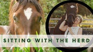 SITTING WITH THE HERD - A HEALING WITH HORSES JOURNEY with