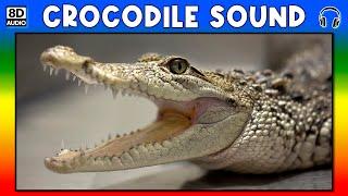  CROCODILE SOUND - CROCODILE SOUND EFFECT - SOUND OF CROCODILE - NOISE OF CROCODILE