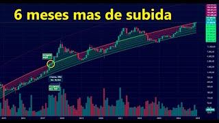 Estamos a 6 meses del maximo de ciclo en #bitcoin y luegolimpieza de posiciones apalancadas de #btc