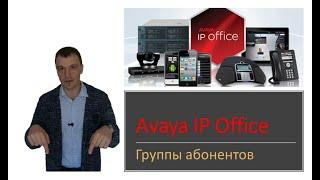 мини АТС Avaya IP Office группы абонентов. Типы и очереди.