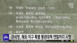 관세청, 해외직구 특별 통관대책 연말까지 시행/대전MBC