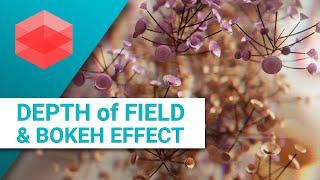 How to use Depth of Field / Bokeh Effect in Redshift C4D